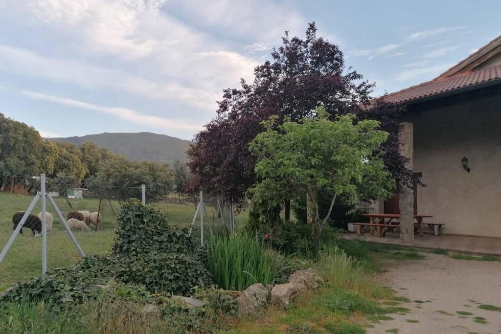 Casa Namaste - Ortigosa Del Monte Villa Eksteriør bilde